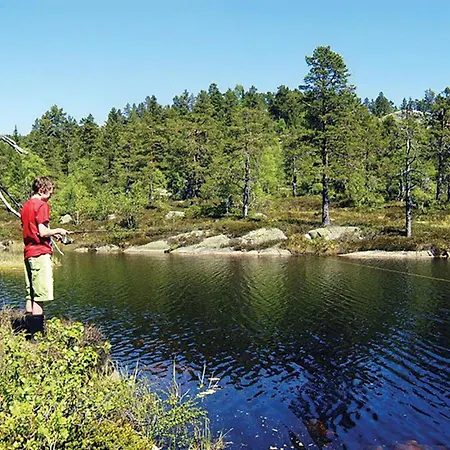 Dolemo Hillestadheia Ii * Dolemo