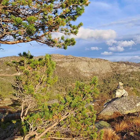 Dolemo Hillestadheia Ii Dolemo