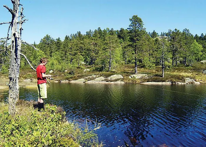 Hillestadheia Ii * Dolemo